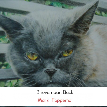 Brieven aan Buck (Hardback) bij Singel 344