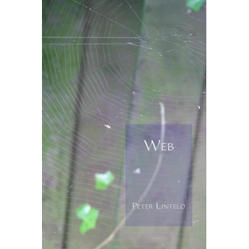 Web (Paperback) bij Singel 344