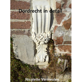Dordrecht in detail (Hardback) bij Singel 344