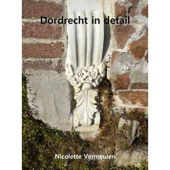 Dordrecht in detail (Paperback) bij Singel 344