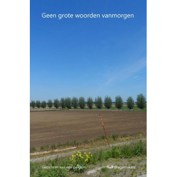 Geen grote woorden vanmorgen (Paperback) bij Singel 344