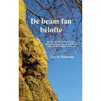 De beam fan belofte (Paperback) bij Singel 344