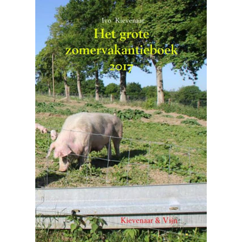 2017 (Paperback) bij Singel 344