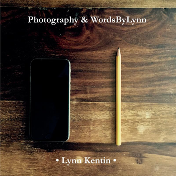 Photography & WordsByLynn (Paperback) bij Singel 344