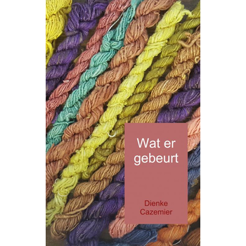 Wat er gebeurt (Paperback) bij Singel 344