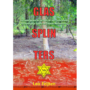 Glassplinters (Paperback) bij Singel 344
