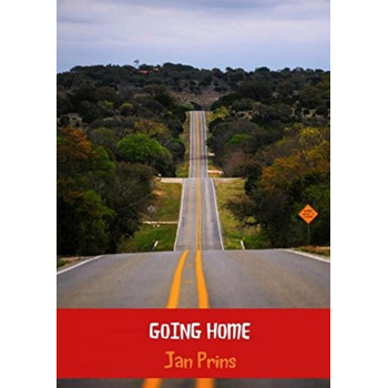 Going home (Paperback) bij Singel 344