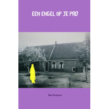 Een engel op je pad (Paperback) bij Singel 344
