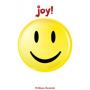 joy! (Paperback) bij Singel 344