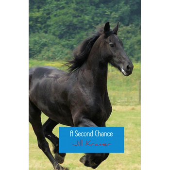 A Second Chance (Paperback) bij Singel 344
