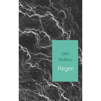 Regen (Paperback) bij Singel 344