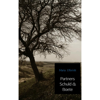 Partners Schuld & Boete (Paperback) bij Singel 344