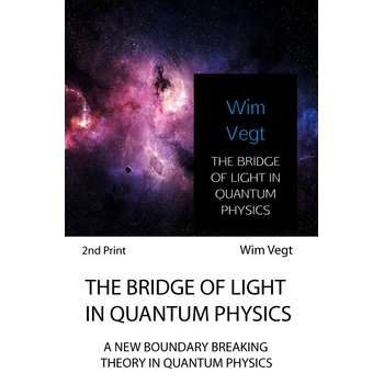 The bridge of light in quantum physics (Paperback) bij Singel 344