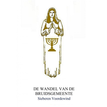 DE WANDEL VAN DE BRUIDSGEMEENTE (Paperback) bij Singel 344