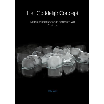 Het Goddelijk Concept (Paperback) van Willy Santy