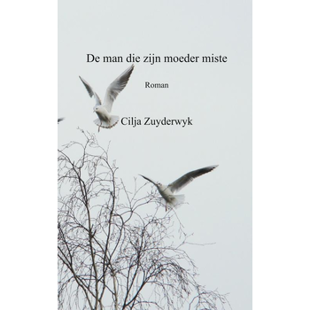 De man die zijn moeder miste (Paperback) bij Singel 344