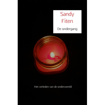 De ondergang (Paperback) bij Singel 344