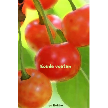 Koude voeten (Paperback) van Jo Bokiro