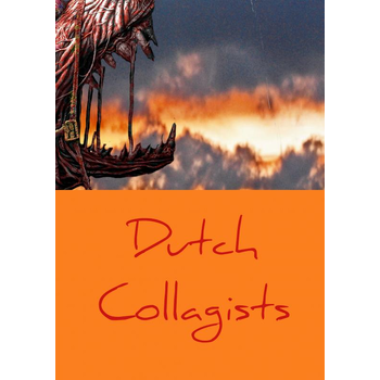 Dutch Collagists (Paperback) bij Singel 344