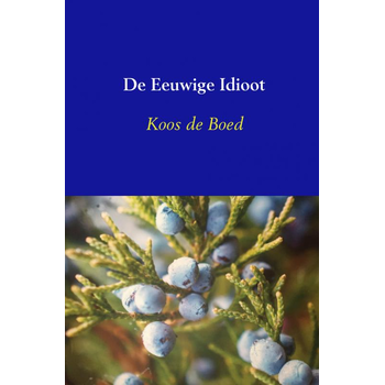 De Eeuwige Idioot (Paperback) van Koos De Boed