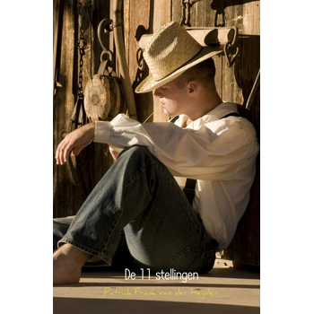 De 11 stellingen (Paperback) van Patrick Frank Van der Heijden