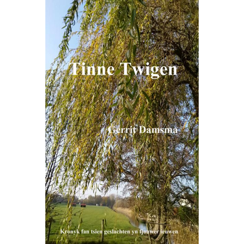 Tinne Twigen (Paperback) bij Singel 344