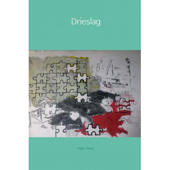 Drieslag (Paperback) bij Singel 344
