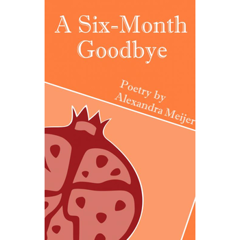 A Six-Month Goodbye (Paperback) bij Singel 344
