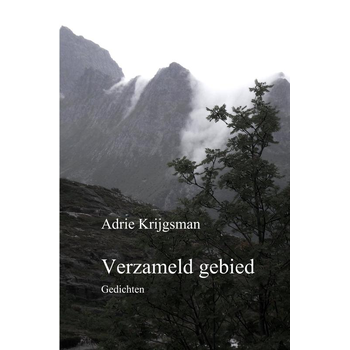 Verzameld gebied (Paperback) bij Singel 344