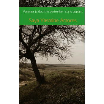 Vanwaar je dacht te vertrekken sta je geplant (Paperback) bij Singel 344
