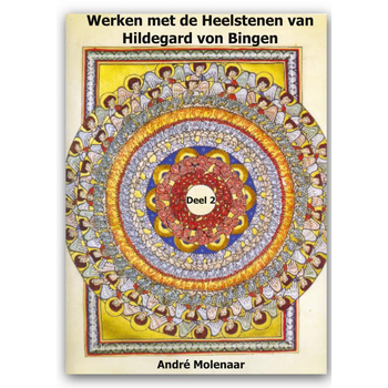 Werken met de Heelstenen van Hildegard von Bingen (Paperback) bij Singel 344