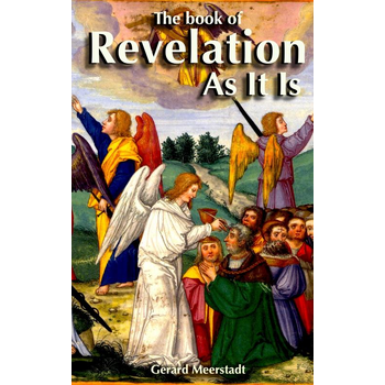 The book of Revelation (Paperback) bij Singel 344