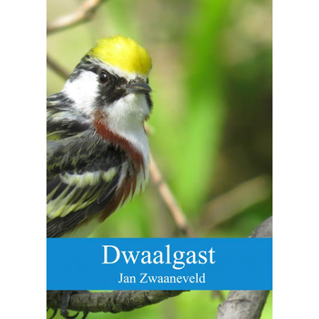 Dwaalgast (Paperback) bij Singel 344