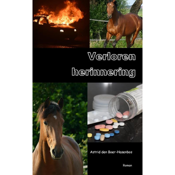 Verloren herinnering (Paperback) bij Singel 344