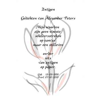 Zwijgen (Paperback) bij Singel 344