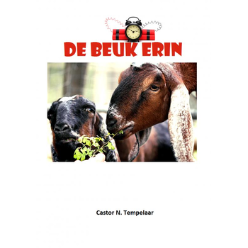 De Beuk Erin (Paperback) bij Singel 344