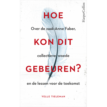 Hoe kon dit gebeuren? (Paperback) bij Singel 344