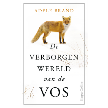 De verborgen wereld van de vos (Hardback) bij Singel 344