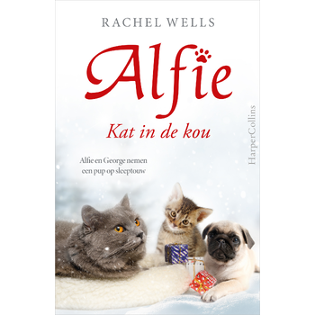 Kat in de kou (Paperback) bij Singel 344