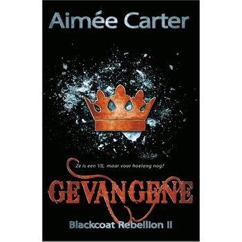 Gevangene (Paperback) bij Singel 344