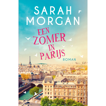 Een zomer in Parijs (Paperback) bij Singel 344