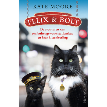 Felix & Bolt (Paperback) bij Singel 344