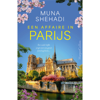 Een affaire in Parijs (Paperback) bij Singel 344