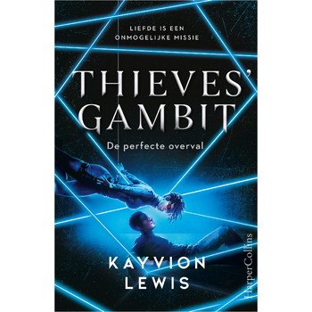 De perfecte overval (Paperback) bij Singel 344