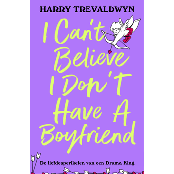 I Can't Believe I Don't Have a Boyfriend (Paperback) bij Singel 344