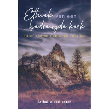 Ethiek van een bedreigde kerk (Paperback) bij Singel 344