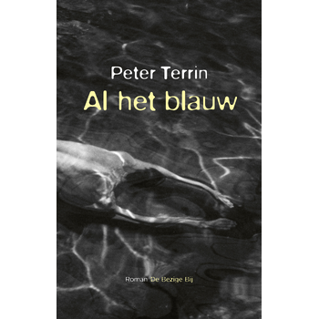 Al het blauw (Paperback) bij Singel 344