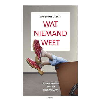 Wat niemand weet (Paperback) bij Singel 344
