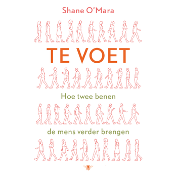 Te voet (Paperback) bij Singel 344