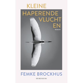 Kleine haperende vluchten (Paperback) bij Singel 344